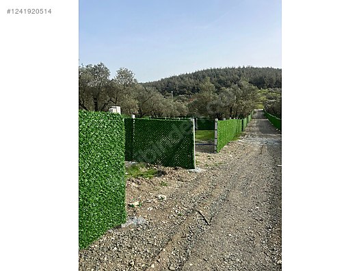 İZMİR-ALİAĞA-BOZKÖY’DE TARLA’NIN 300 M² ‘Sİ SATILIKTIR - İZMİR ALİAĞA fotoğraf 25